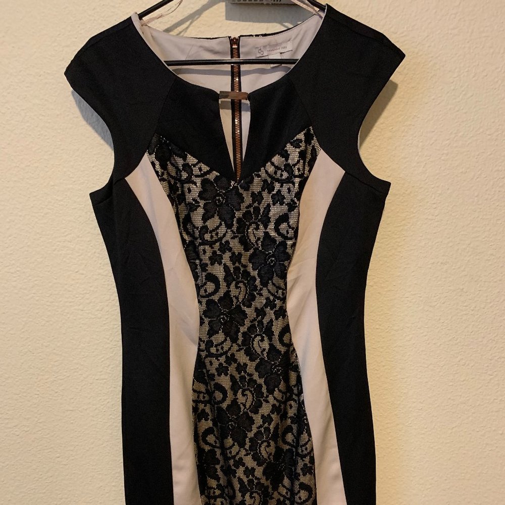 Dress Barn Cocktail Dress